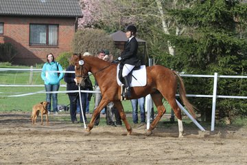 Bild 1478 - WBO-Turnier am 9.4.11